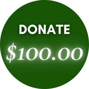 Donate - $100