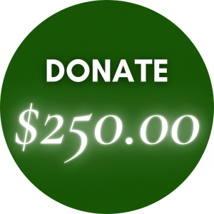 Donate - $250